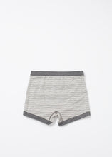 Load image into Gallery viewer, Grand Trunk - ez haihv